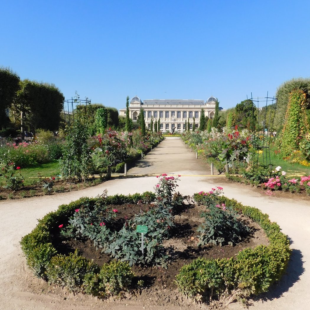Jardin de roches et de pivoines 3